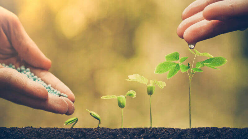 lead nuring header.jpg